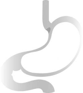 endoscopia Barcelona - EndoBES