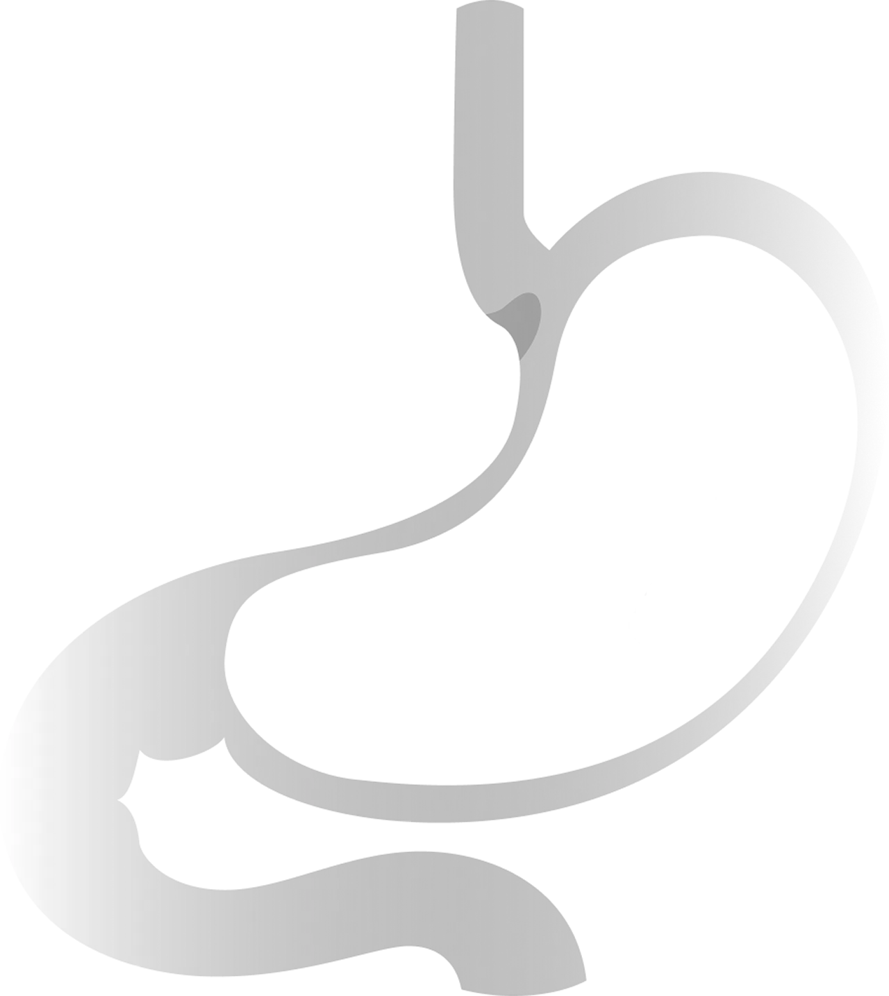 endoscopia Barcelona - EndoBES