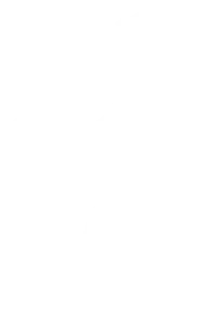 Síndrome de Dumping - Endobes Icon